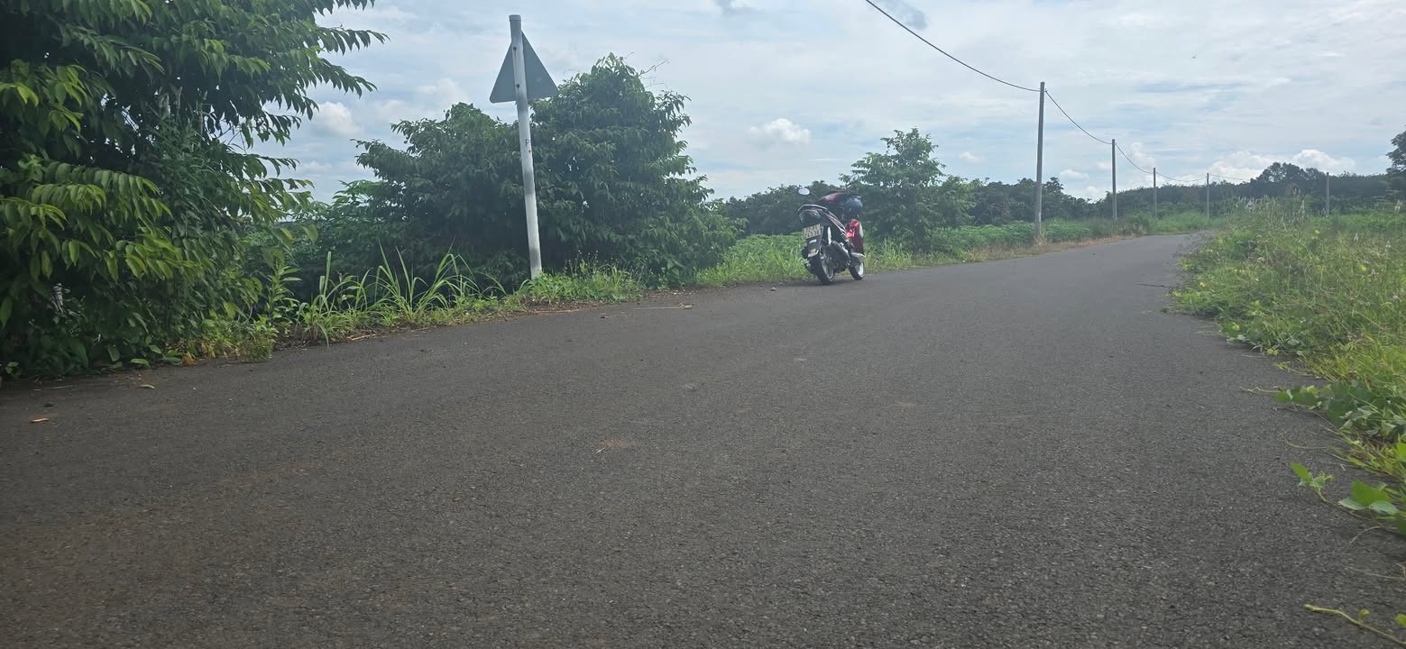 Đất thổ cư 1000m² xã Ngãi Giao, Châu Đức chỉ 1.5 tỷ - Cơ hội đầu tư tốt!