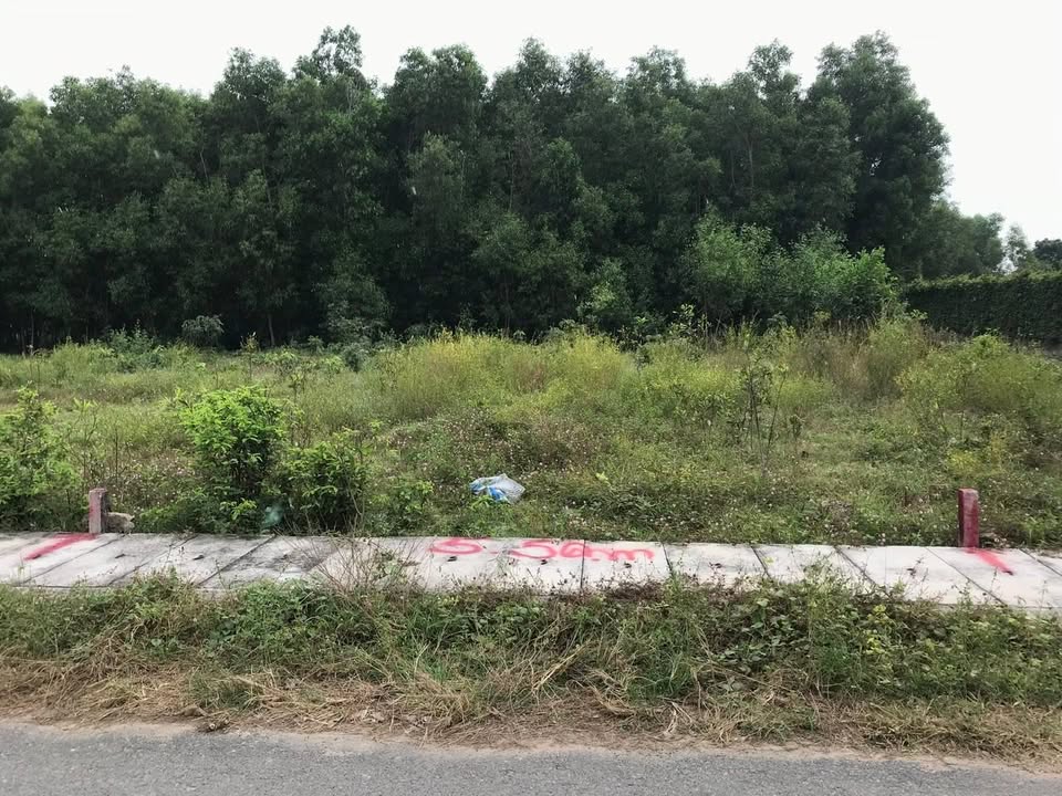 Đất nền Tam Phước, Long Điền 148m² giá 1.25 tỷ - Mặt tiền đường nhựa rộng 10m