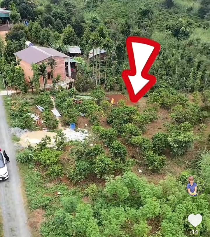 Đất nền thổ cư 36.000m² tại xã Ea Kiết, giá 870 triệu - Sổ đỏ chính chủ!