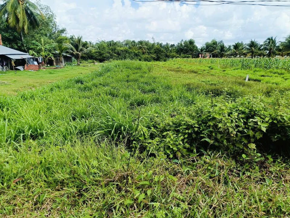 Đất thổ cư Hảo Đước, Châu Thành 378m² giá chỉ 399 triệu - Đầu tư lý tưởng!