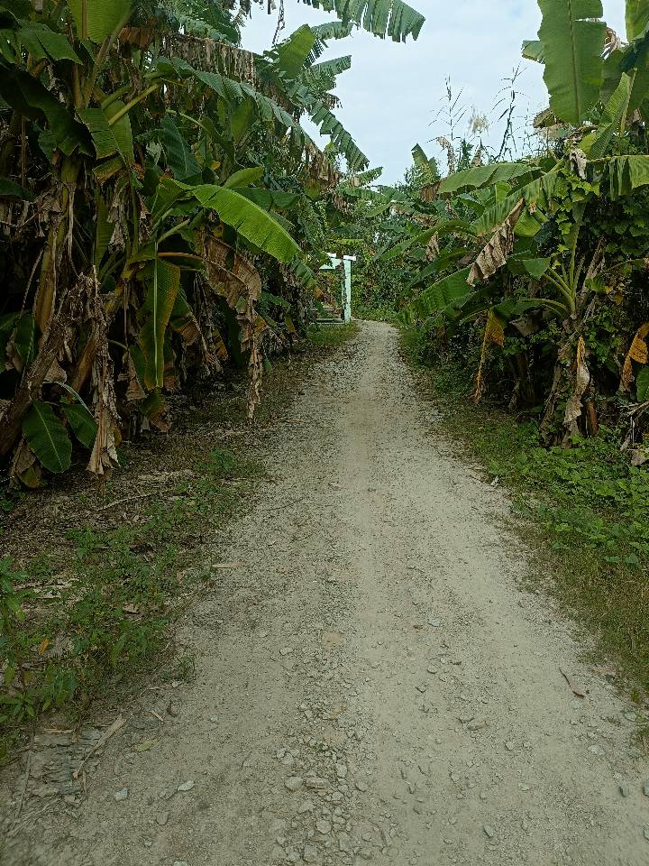 Đất nền thổ cư xã Óc Eo, Thoại Sơn 180m² giá 7 tỷ - Sổ hồng chính chủ, thuận tiện đầu tư!