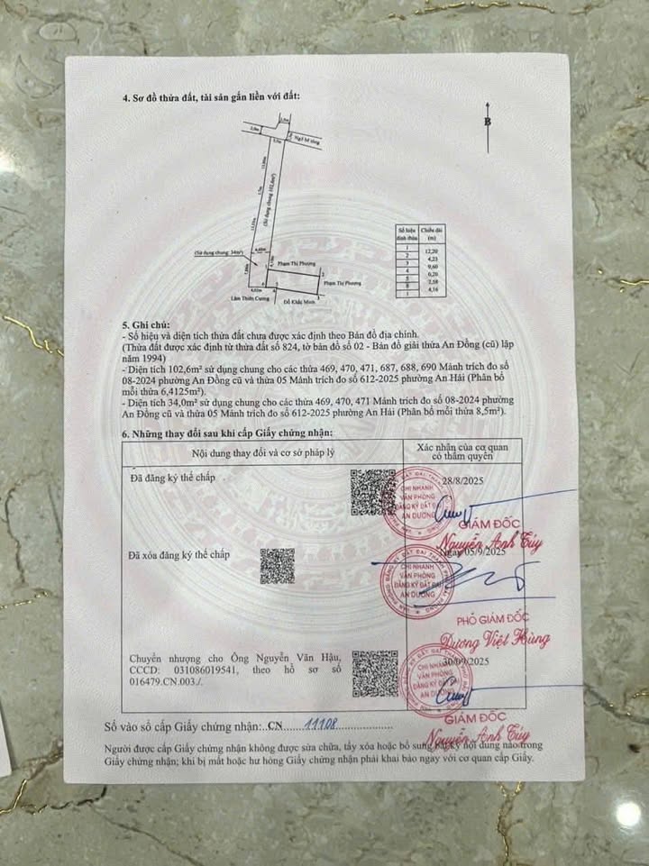 Đất nền An Đồng - An Dương 50m² giá 1.45 tỷ - Kinh doanh sinh lời ngay!