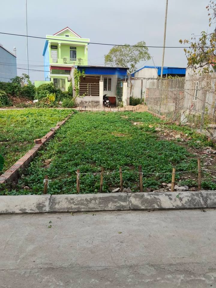 Đất nền khu phố Đường Đá, Hoa Động, Thủy Nguyên 69m² giá chỉ 2.15 tỷ - Đầu tư sinh lời ngay!