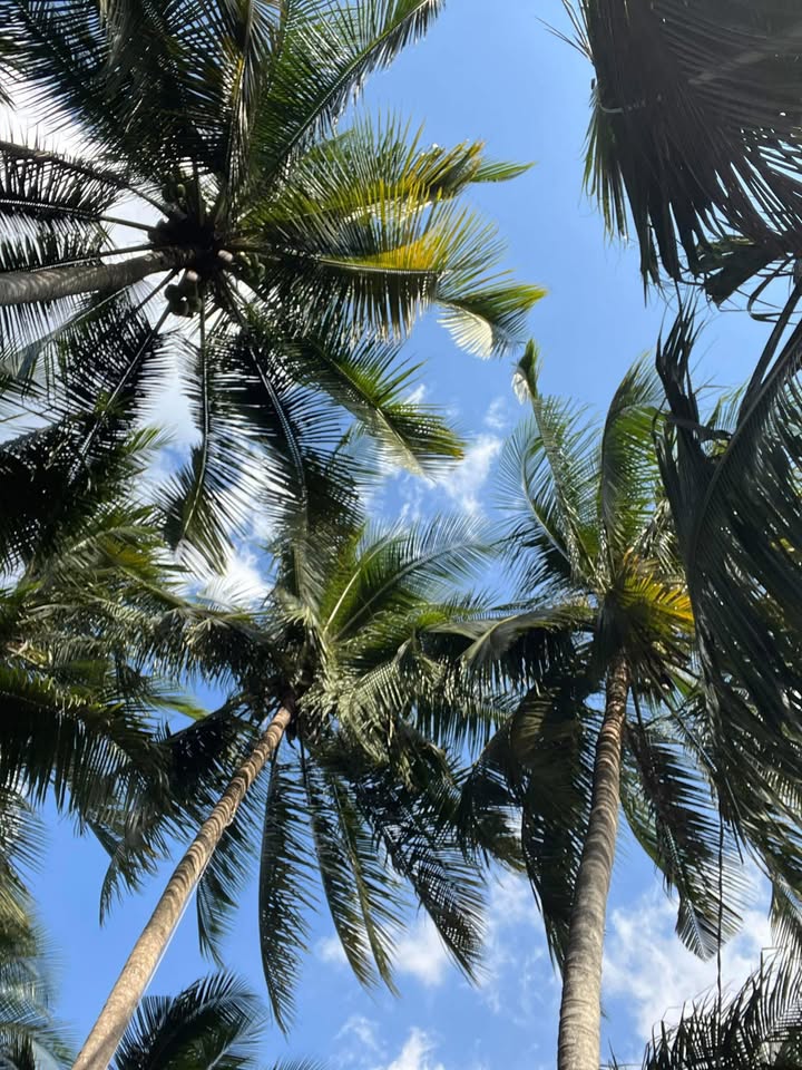 Đất nền Bảo Hoà Xuân Lộc 3600m² giá 2.1 tỷ - Đầu tư sinh lời ngay!