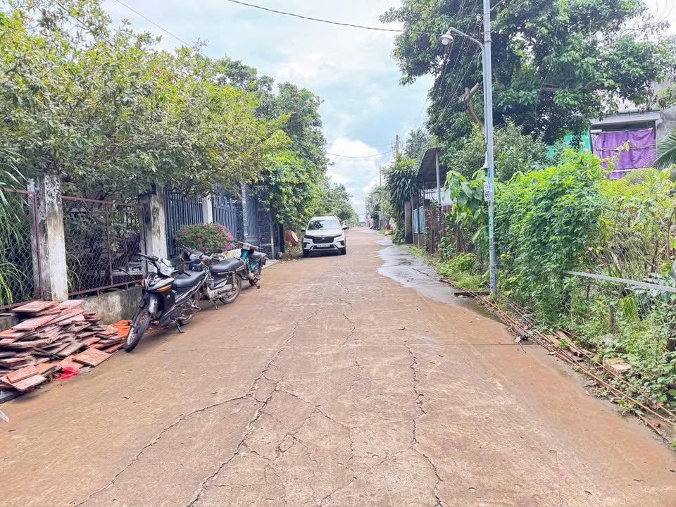 Đất mặt tiền Đoàn Thị Điểm, Gia Ray 150m² giá 1.78 tỷ - Đầu tư sinh lời ngay!