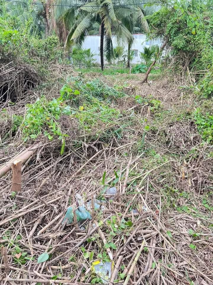 Đất nền đẹp KV7, Phường An Bình, Cần Thơ 61.3m² - Giá chỉ 339 triệu!