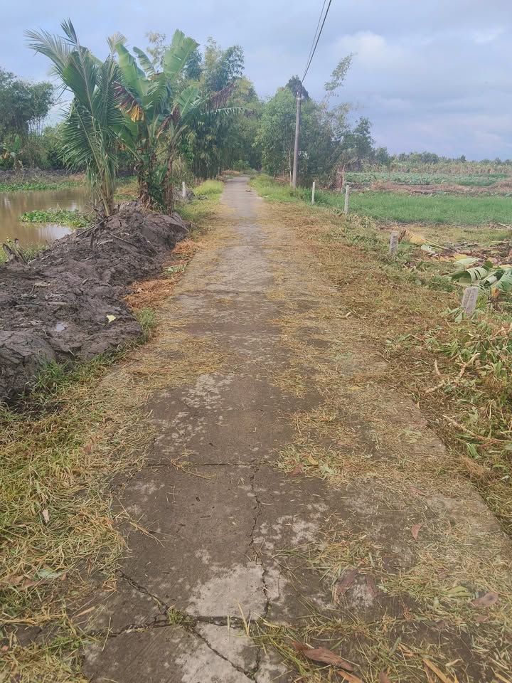 Đất nền 5x42m tại Hoa An, Phụng Hiệp - Giá chỉ 320 triệu - Đầu tư sinh lời!