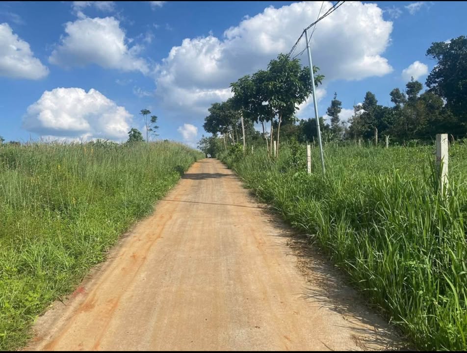 Đất thổ cư Đắk Wer 132m² giá 230 triệu - Cơ hội đầu tư hấp dẫn!