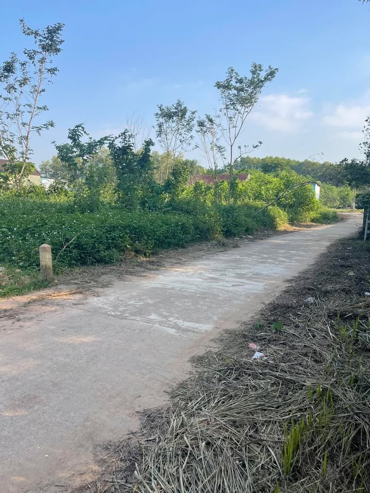 Đất nền Xóm Đồng Hội, Nghĩa Hội, Nghĩa Đàn 400m² giá 800 triệu - Đường nhựa thuận tiện!