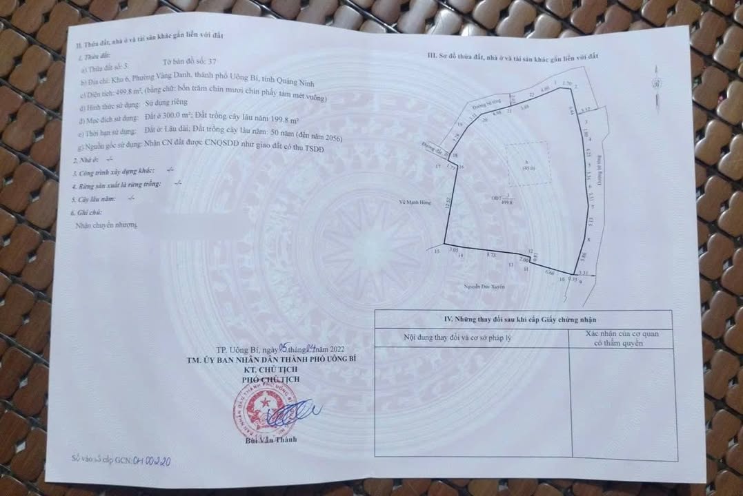 Nhà 2 tầng 499,8m² tại Vàng Danh, Uông Bí - Sổ hồng chính chủ, chỉ 1 tỷ