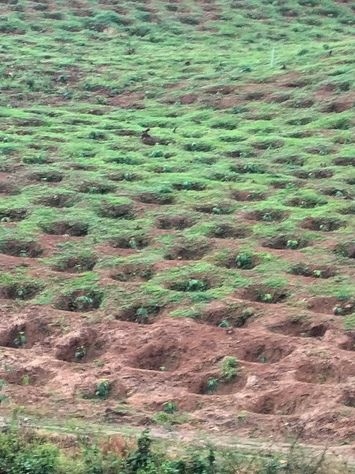 Đất nền Đắk Nuê Lắk 10000m² giá 1.2 tỷ - Đầu tư sinh lời ngay!