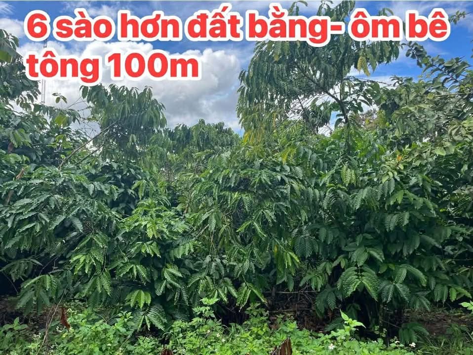 Đất nền Đạ Rsal 100m² giá thỏa thuận - Sổ đỏ đầy đủ, khu dân cư đông đúc!