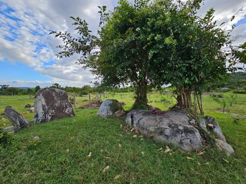 Đất nông nghiệp Mỹ Sơn 20.000m² giá 650 triệu - Đầu tư sinh lời tốt!