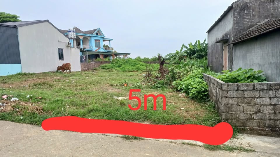 Đất thổ cư 110m² tại Phường Gia Sàng, Thái Nguyên - Giá chỉ 599 triệu, không ngập lụt!