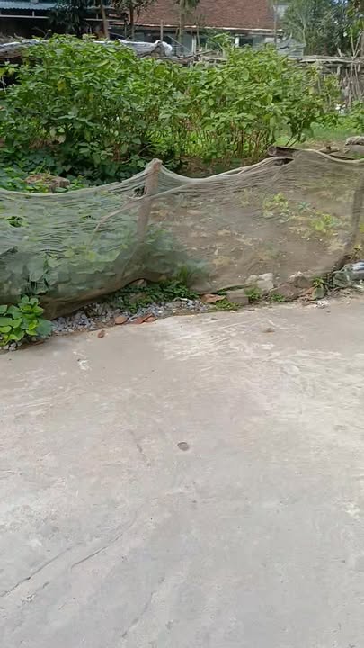 Đất nền Viên An, 119m² giá thỏa thuận - Đầu tư sinh lời ngay!