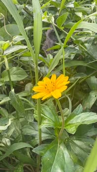 Đất nền Nhuận Trạch 900m² giá 6.3 tỷ - Cắt lỗ nhanh chóng!