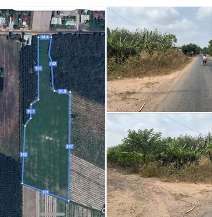 Đất Cây Lâu Năm Tại Thạnh Bình, Tân Biên 14,000m² Giá 7.998 Tỷ - Đầu Tư Sinh Lời!