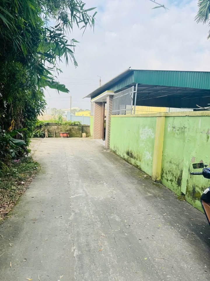 Đất nền đường Trần Hữu Thung, phường Hưng Đông, 95.3m² - Giá tốt, vị trí đẹp!