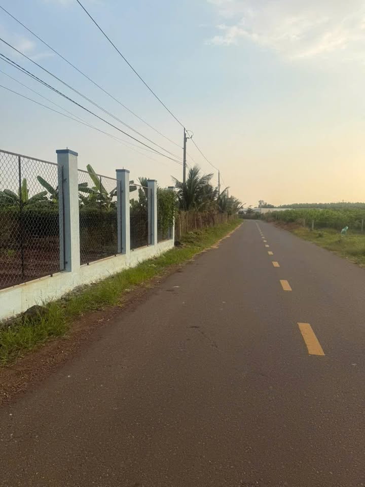 Đất thổ cư 160m² tại Long Tân, Đất Đỏ - Giá chỉ 760 triệu, bớt lộc cho khách thiện chí!