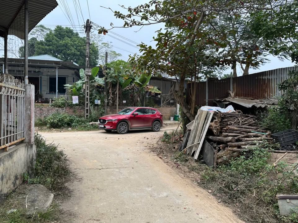 Đất thổ cư 150m² tại khu 2, phường Phú Thọ, giá chỉ 1 tỷ - Cơ hội đầu tư tốt!