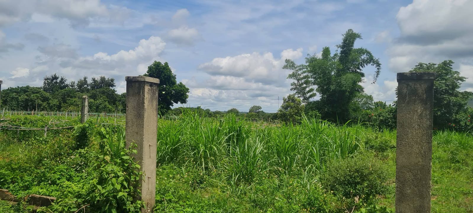 Đất thổ cư Cư Êbur 198m² giá 630 triệu - Đầu tư sinh lời ngay!