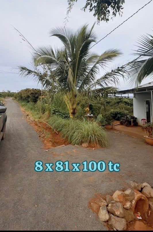 Lô đất nghỉ dưỡng Tân Hội 648m² giá 660 triệu - Cơ hội đầu tư hấp dẫn!