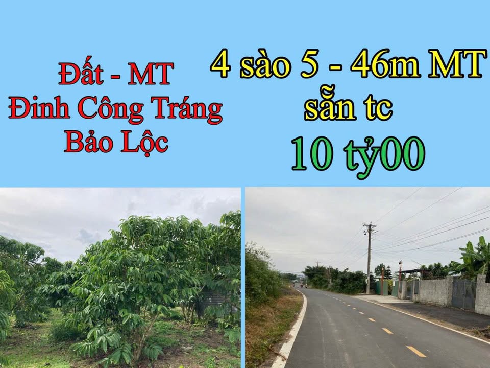 Đất nền Bảo Lộc 4510m² giá 10 tỷ - Pháp lý rõ ràng, đầu tư sinh lời!