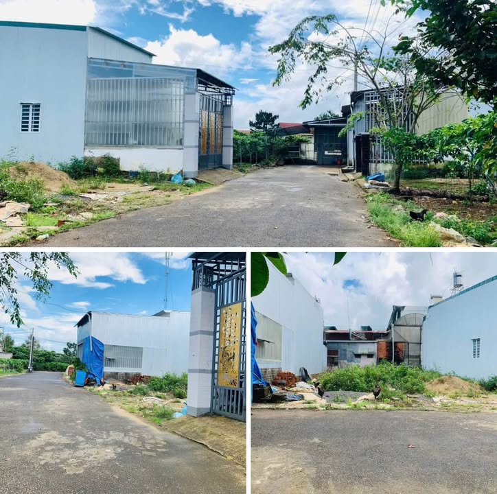 Đất thổ cư đường Nguyễn Đình Chiểu Bảo Lộc 100m² giá 1.4 tỷ - Cơ hội đầu tư hiếm có!