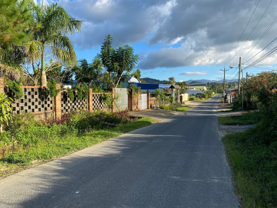 Đất thổ cư Bảo Lộc 550m² giá 1.99 tỷ - Mặt tiền đường Thi Sách, vị trí đắc địa!