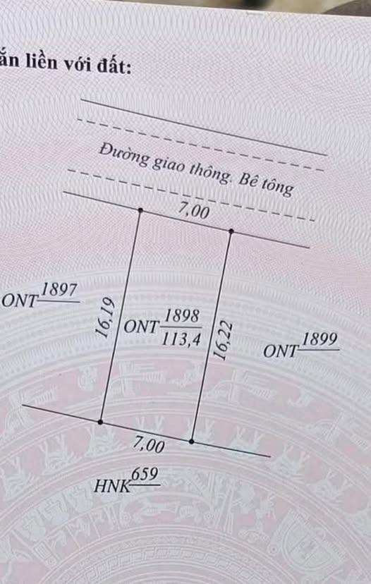 Đất nền thôn 3 Lý Trạch 113m² giá chỉ 450 triệu - Cơ hội đầu tư tuyệt vời!