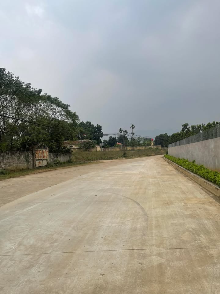 Đất nền An Nghĩa Phú Thọ 800m² giá 1.5 tỷ - Đầu tư sinh lời tiềm năng!