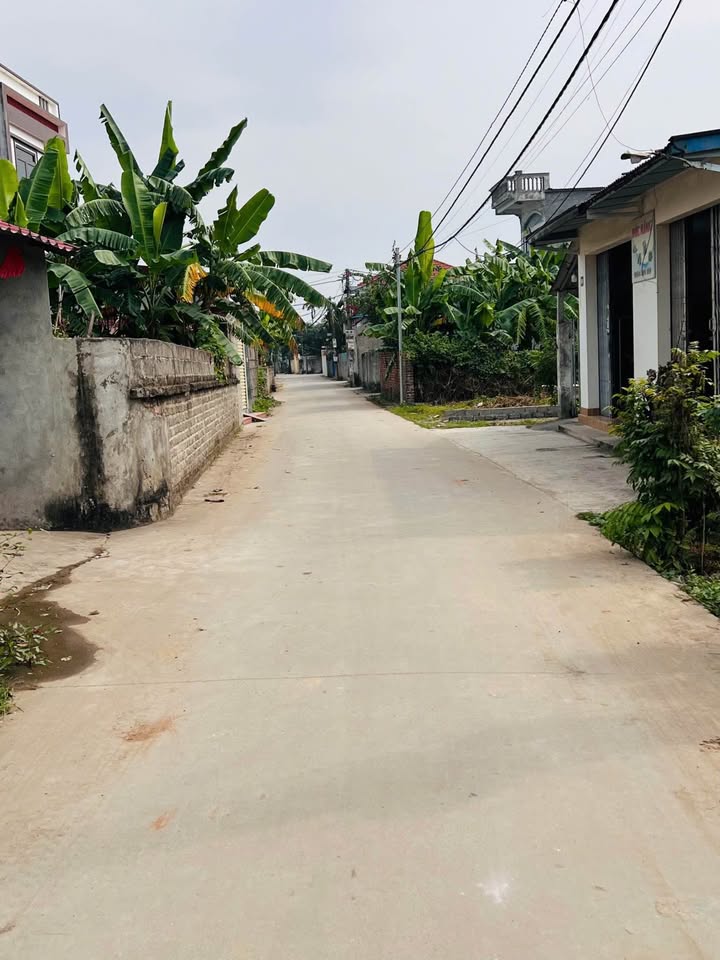 Đất nền Trường Sơn, An Lão 100m² giá 1.9 tỷ - Vị trí đắc địa không thể bỏ lỡ!