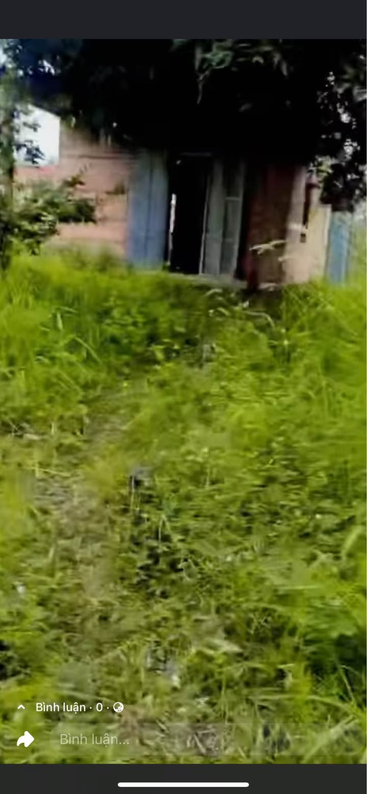 Đất nền Ngọc Định 1000m² giá 530 triệu - Tiềm năng đầu tư lớn!