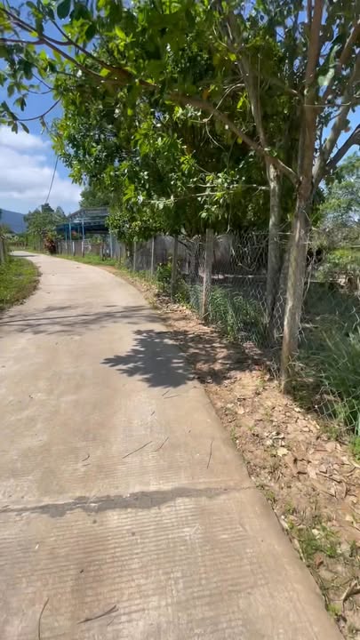 Đất nền Hòa Sơn, Krông Bông 1658m² - Cơ hội đầu tư không thể bỏ lỡ!