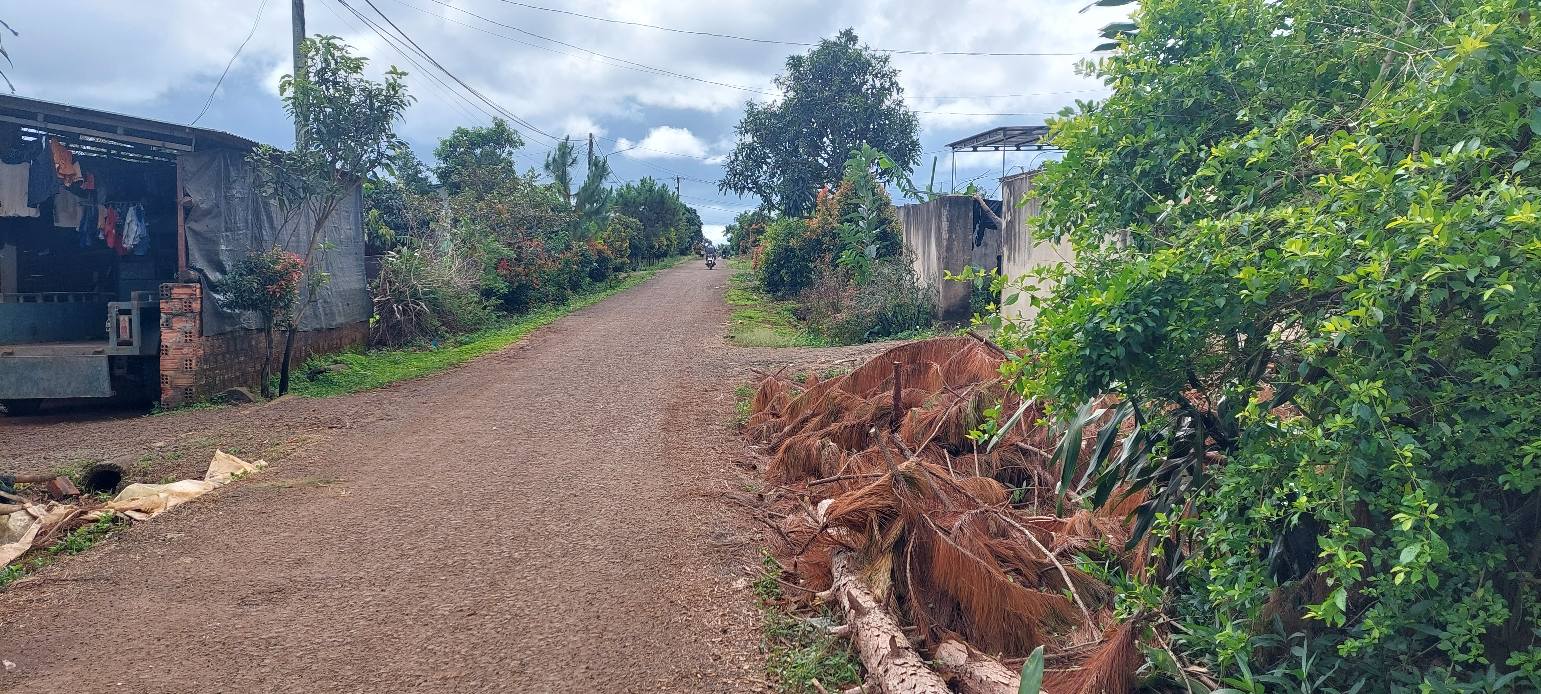 Đất nền An Phú Pleiku 200m² giá chỉ 300 triệu - Cơ hội đầu tư hiếm có!
