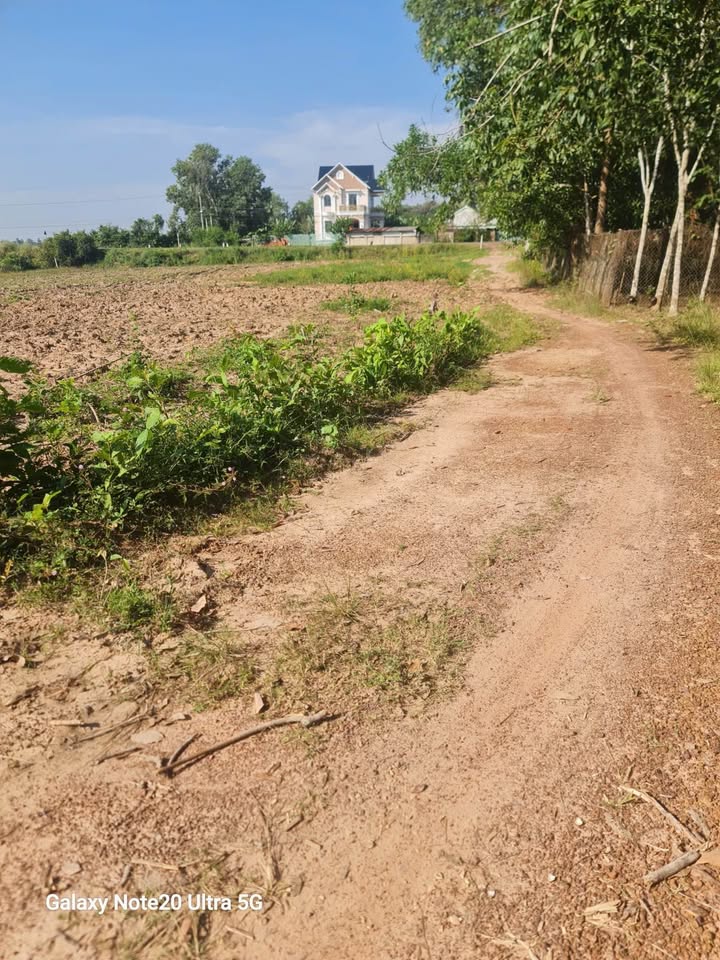 Đất thổ cư 150m² Phước Vinh - Châu Thành, Tây Ninh giá chỉ 159 triệu - Cơ hội hiếm có!