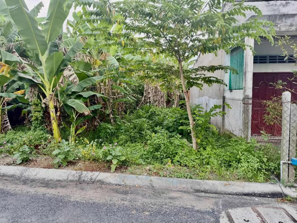 Đất nền mặt tiền hẻm nhựa Cafe Tím 100m² giá 850 triệu - Pháp lý rõ ràng