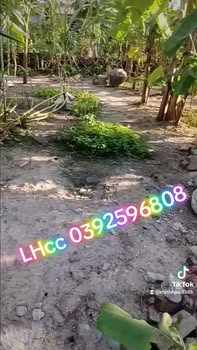 Đất Thượng Cát, Bắc Từ Liêm 50m² giá 4.4 tỷ - Đầu tư sinh lời ngay!