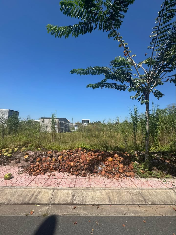 Đất nền KDC P4 đường Số 5, phường 4, Cao Lãnh – 90m² giá 2 tỷ, sổ đỏ chính chủ!