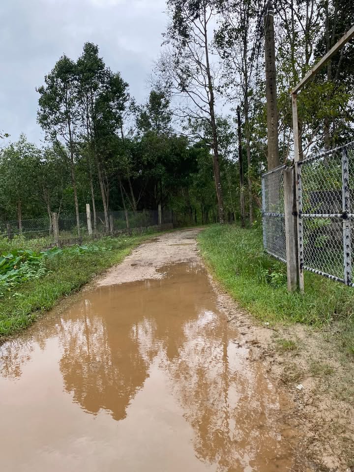 Nhà cấp 4 Phú Bài Hương Thủy 239m² giá 1.2 tỷ - Đầu tư sinh lời ngay!