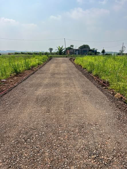 Đất nền Láng Dài 360m² giá chỉ 700 triệu - Cơ hội đầu tư tuyệt vời!