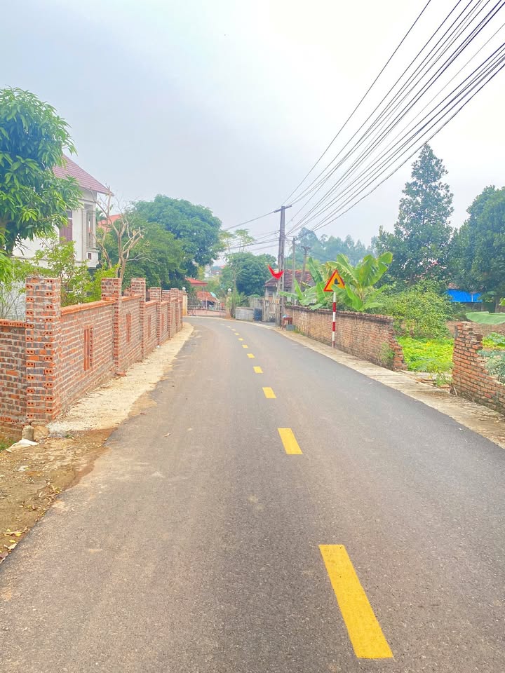 Đất thổ cư Khu 6, Thanh Đình 87m² giá chỉ 1 tỷ - Cơ hội đầu tư tuyệt vời!