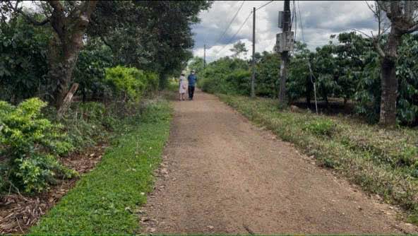 Đất nền góc 2 mặt tiền xã Ia Bă, diện tích 2434m², giá chỉ 800 triệu - Sổ hồng chính chủ!