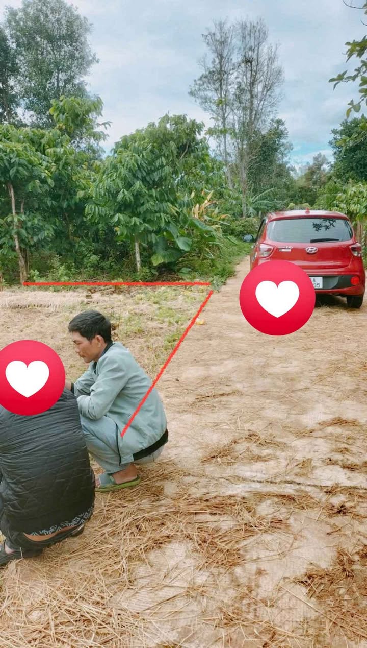 Đất chính chủ đường Đào Duy Từ, 270m² giá 600 triệu - Đầu tư sinh lời ngay!