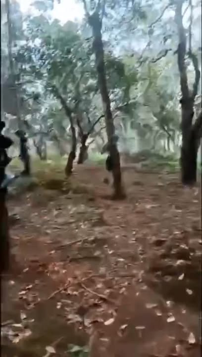 Bán gấp 10ha cao su thôn Klong, xã Ia O, huyện Ia Grai, Gia Lai - Giá chỉ 4 tỷ!