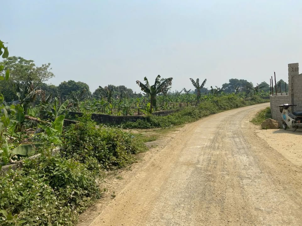 Đất nền 850m² xóm 3/2, xã Liên Sơn, Hòa Bình - Đầu tư sinh lời hấp dẫn!