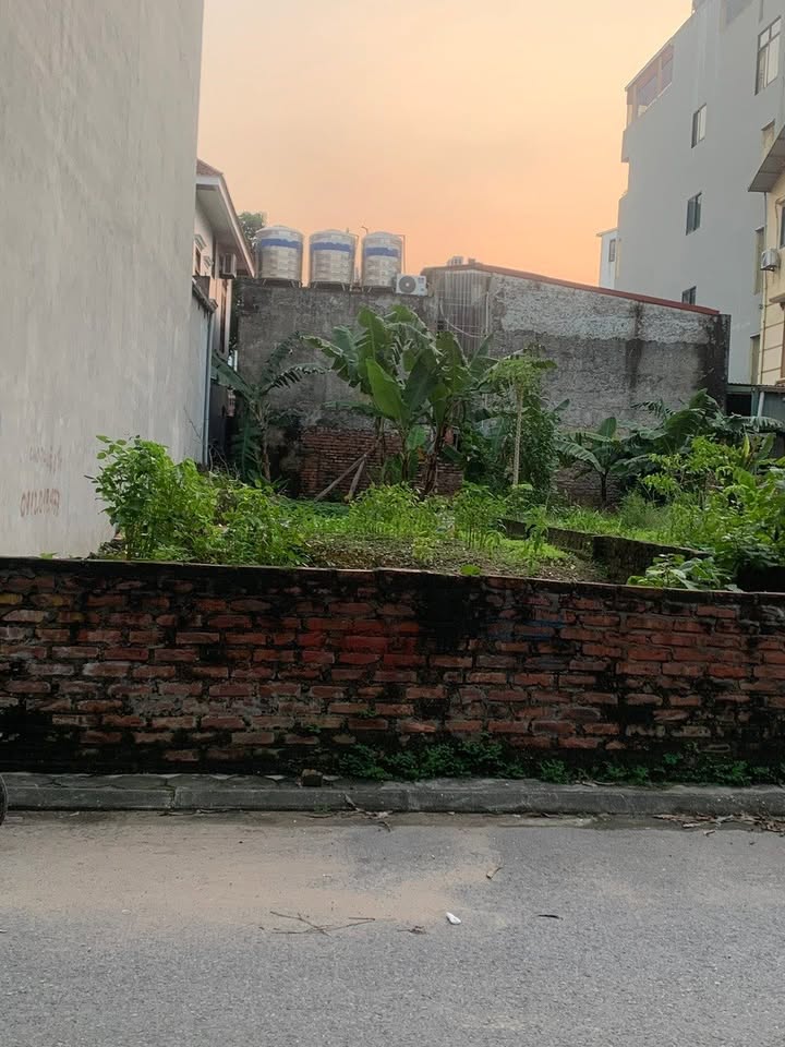 Lô góc Trâu Quỳ 55m² giá 7.6 tỷ - KD sầm uất, mặt tiền rộng!