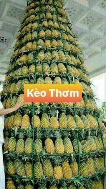 Đất nền mặt tiền Lê Văn Khương, Thới An, 4323m² giá 49 triệu/m² - Đầu tư sinh lời cao!