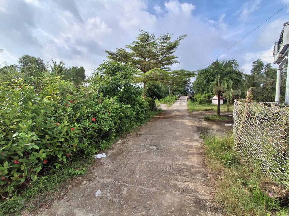 Đất nền mặt tiền kênh Lung Dừa Cà Mau 240m² giá 600 triệu - Sổ hồng chính chủ!