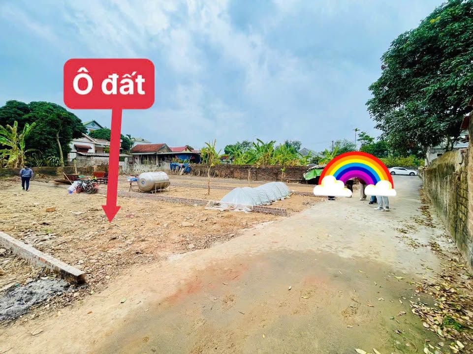 Đất Hương Sơn Bình Xuyên 123.8m² giá chỉ 1.2 tỷ - Đầu tư sinh lời ngay!